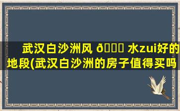 武汉白沙洲风 🐟 水zui
好的地段(武汉白沙洲的房子值得买吗 🐱 )